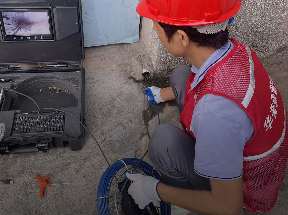 Household pipeline inspection